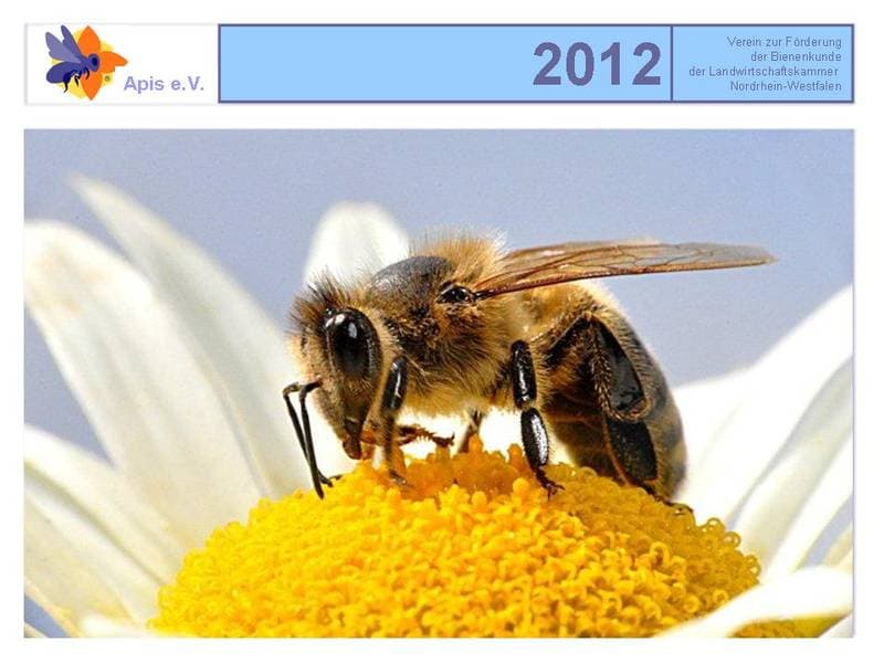 Apis Kalender 2012