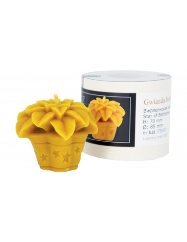 Silikonform - Poinsettia FS487