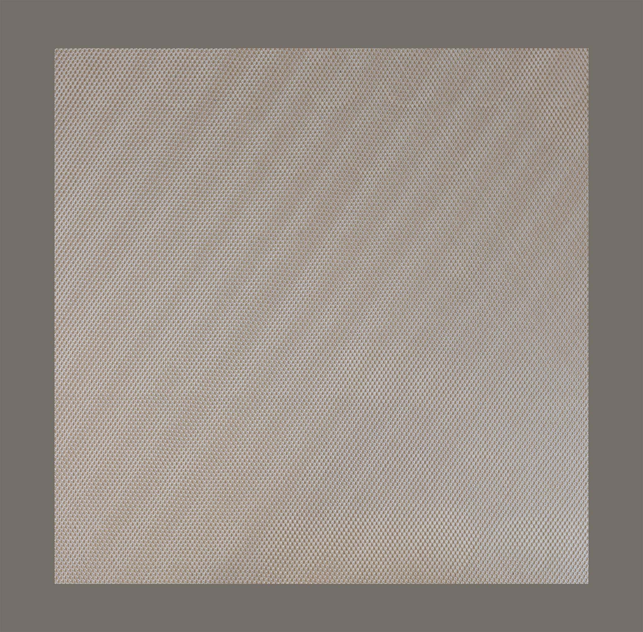 Propolis Gittermatte 435 mm x 435 mm aus farblosem EVA-Kunststoff, passend f. Segeberger Beute