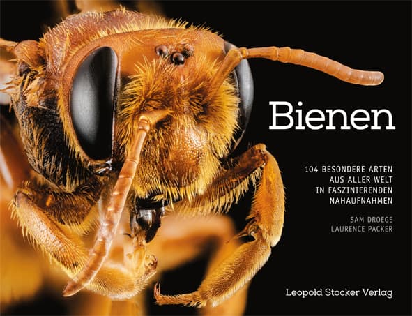 Bienen - 104 besondere Arten aus aller Welt, Droege, Packer, Leopold Stocker Verlag